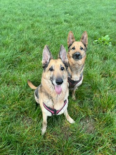 DUSTY AND RHIA - WEST SUSSEX